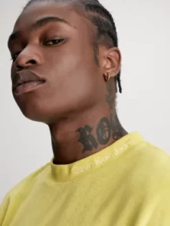 Calvin Klein T-shirt Relaxed En éponge -Calvin Klein Soldes J30J323486 KCQ alternate3